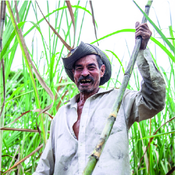 Decreta Gobierno de México el 22 de agosto como Día del Cañero